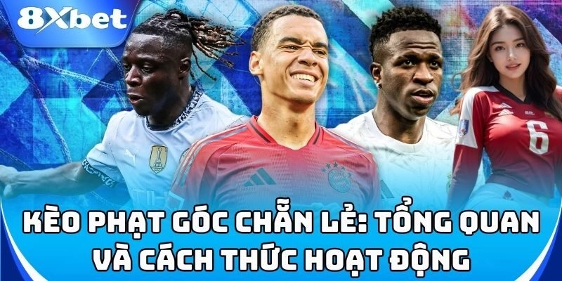 Kèo phạt góc chẵn lẻ – Dễ chơi, dễ thắng